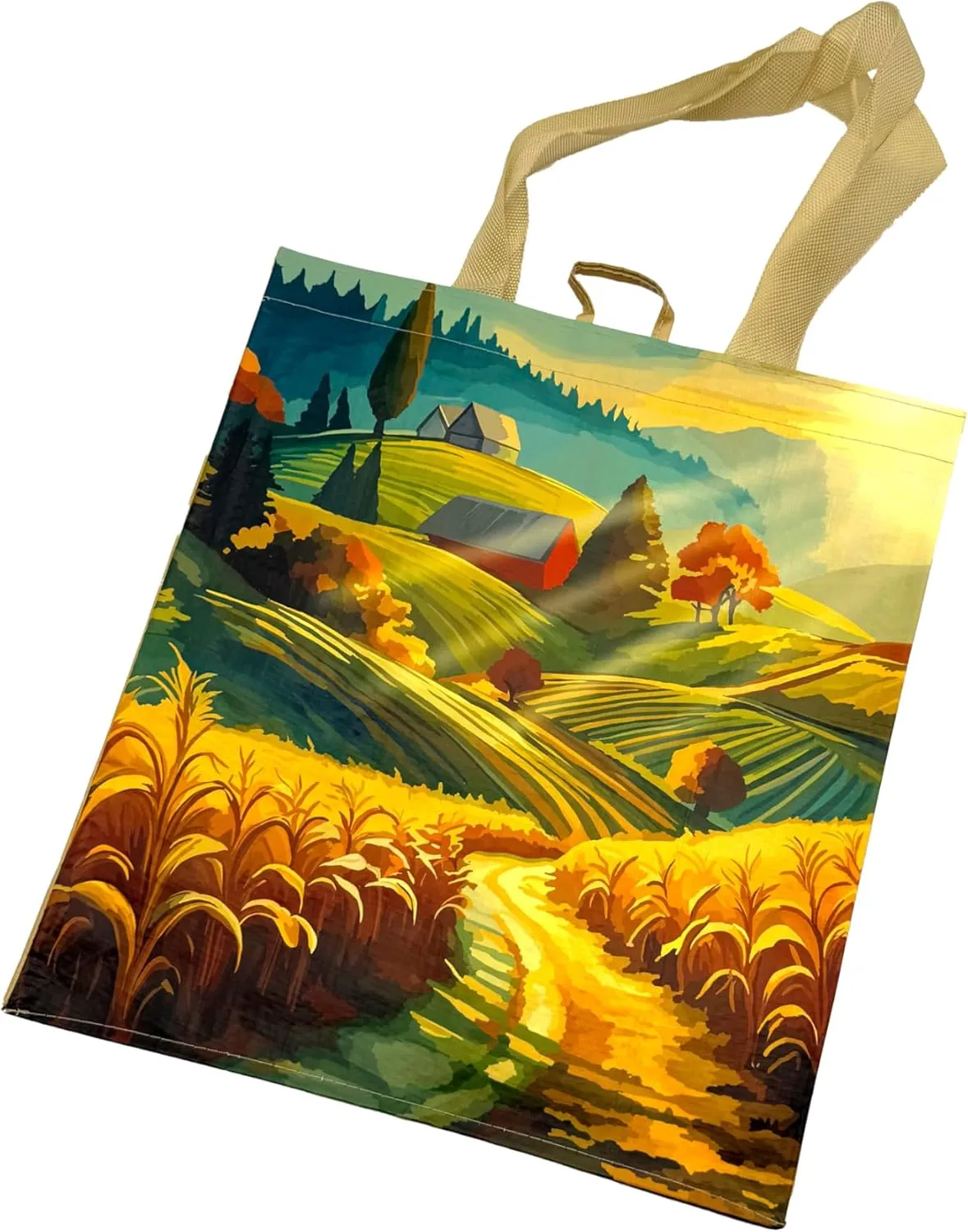 Earthwise Reusable Shopping Bags Extremely Durable Multi Use Large Stylish Fun Foldable Water-Resistant Totes